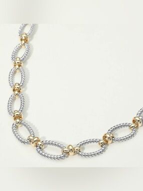 14K Gold Plated Two Tone Textured Oval Link Toggle Necklace
